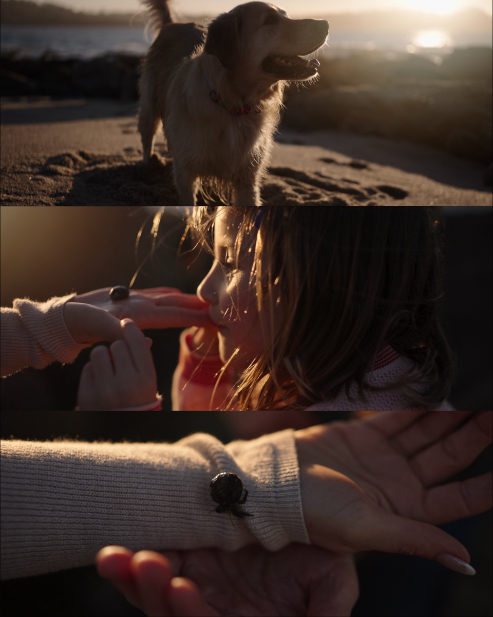 2932 Cuesta - Cinematic detail