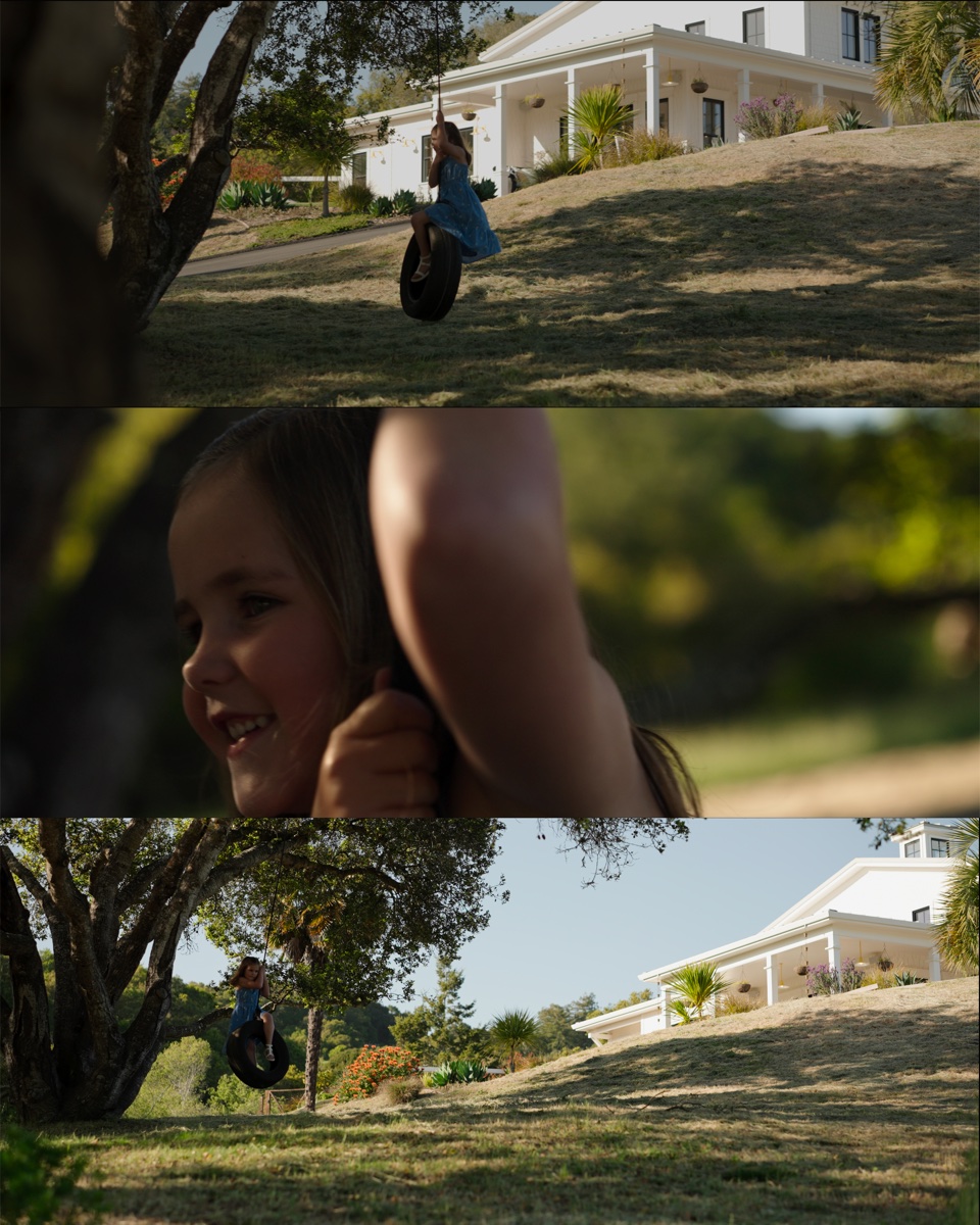 365 Race Horse - Cinematic triptych