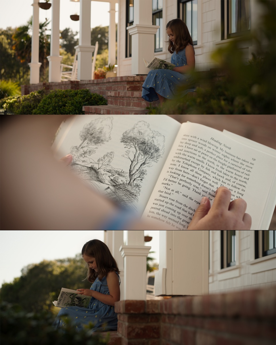 365 Race Horse - Frame composition