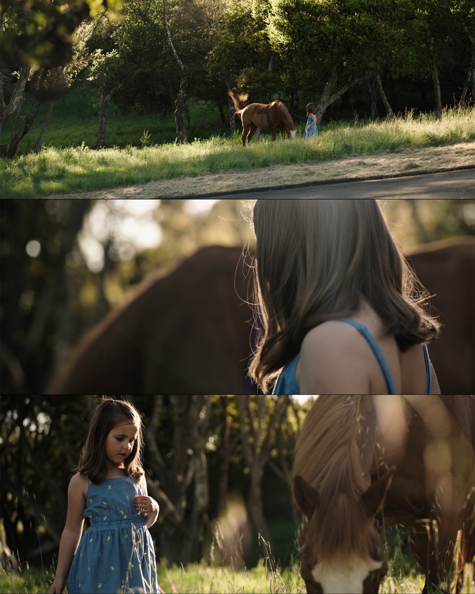 365 Race Horse - Cinematic detail