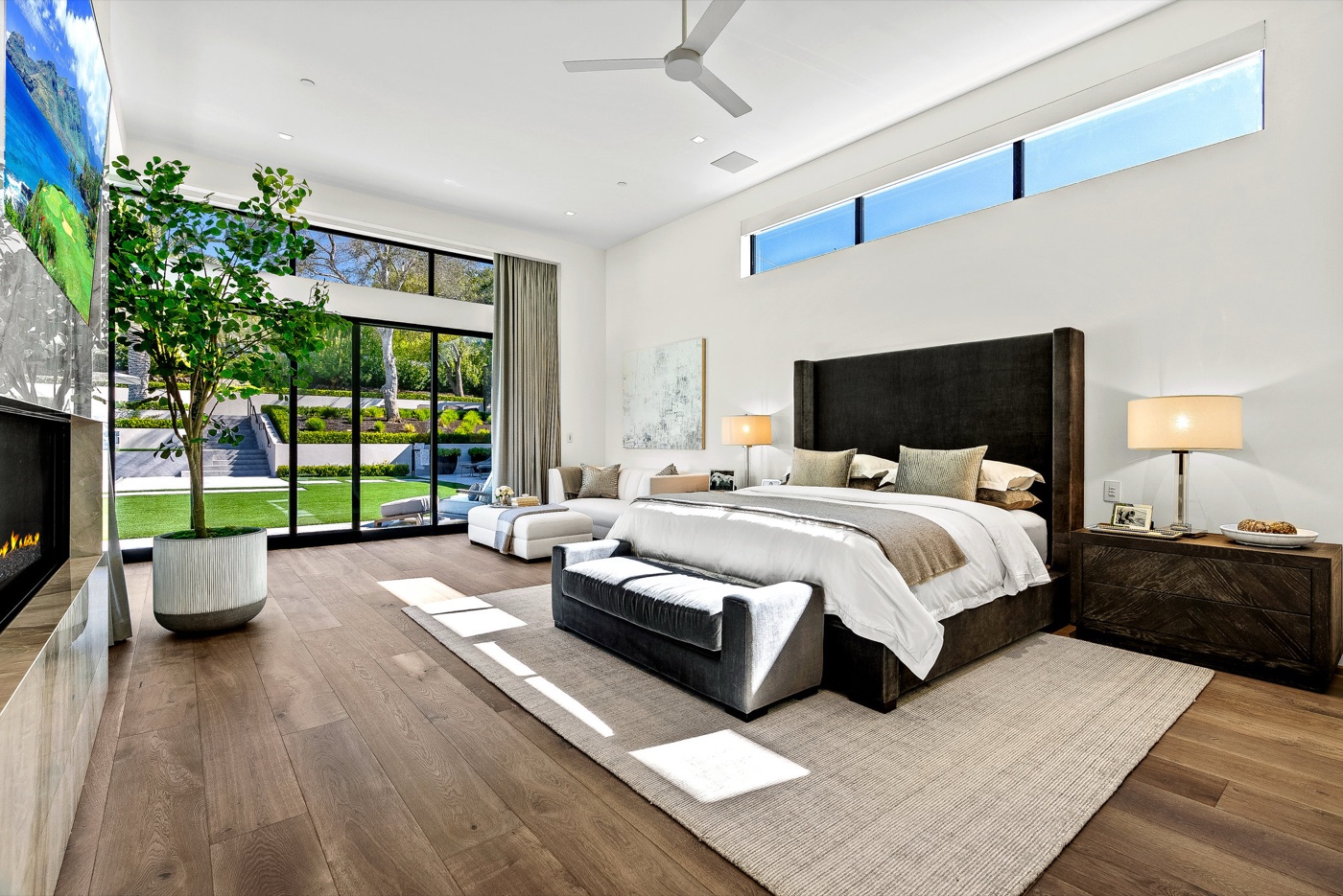 Constitution details