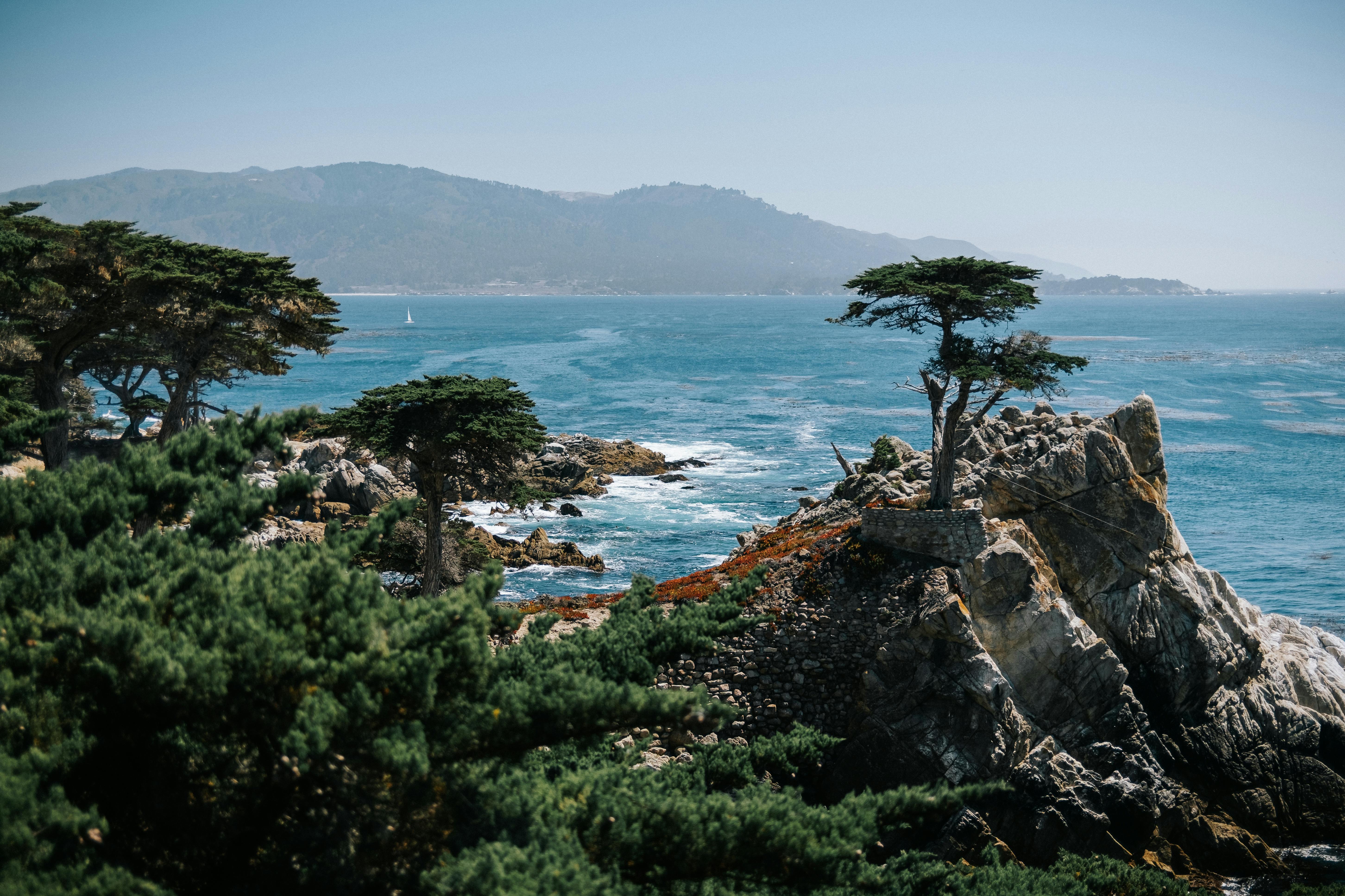 Monterey Bay rocky coastline